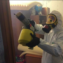 Уничтожение клопов в квартире. Хасавюрт